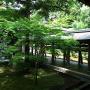 A roofed corridor at a temple Kyoto. Photo by JL, (c) ASC