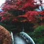 Arched bridge under autumn leaves in Meiji Park Tokyo. Photo (c) KV, all rights reserved