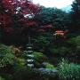 Denpo-in Temple garden near Sensoji Temple Asakusa Tokyo. Photo (c) KV, all rights reserved