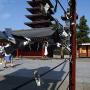 Temple grounds at Sensoji Asakusa Kannon Temple Tokyo. Photo by JL, (c) ASC