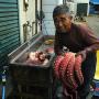 A man butchers an octopus. Photo by JL, (c) ASC